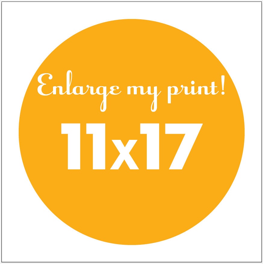 make any 8x10 an 11x17