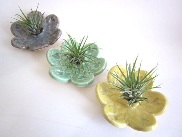 1 dusty blue air plant holder planter with lace dish, mini vase, home decor, wedding gift