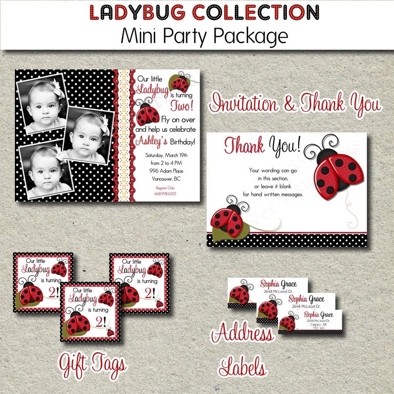 Printable Ladybug Party Package Il_570xn