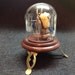 Real Human Tooth In Miniature Display Dome