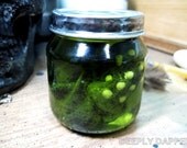 OOAK Unknown Cephalopod Specimen in jar, Bottled Lovecraft  - Cabinet Of Curiosities - Baby Bugaboo 009