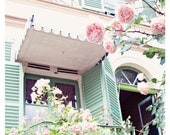 Parisian House, pink, sea foam, mint green, roses, Paris, leaded glass, French  8x10 Original Fine Art Photograph