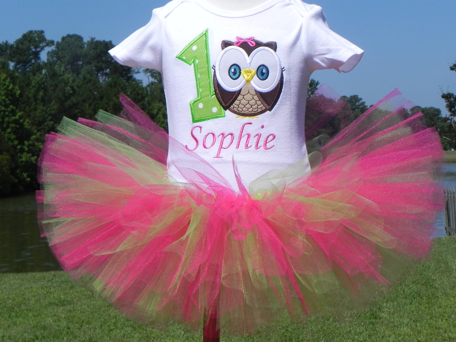 Owl Birthday Outfit - 1st Birthday Owl - Owl Birthday - Owl Tutu Outfit - w/Child's Name