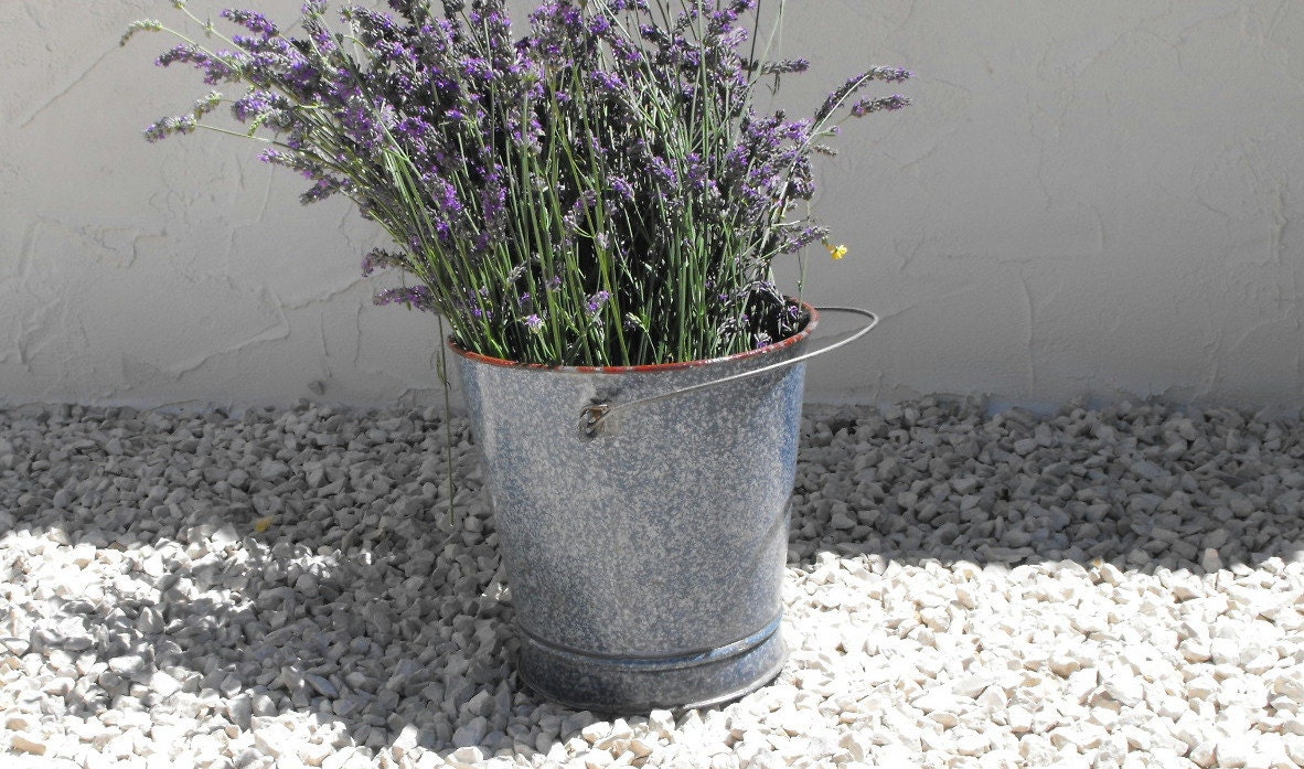 Vintage French Enamelware Bucket Great For Big Summer Bouquets