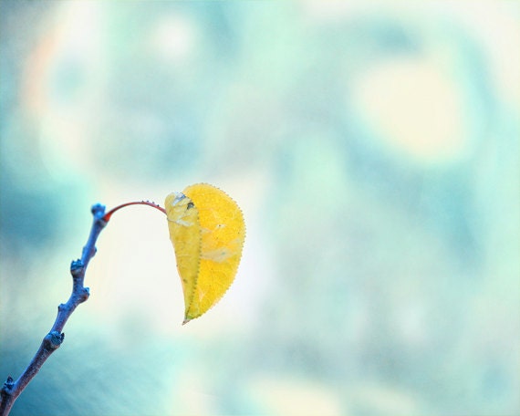 Nature photography Autumnal  photography  pastels  Yellow Leaf  minimal Teal Turquoise wall art  4x6 Fine Art Photography Print