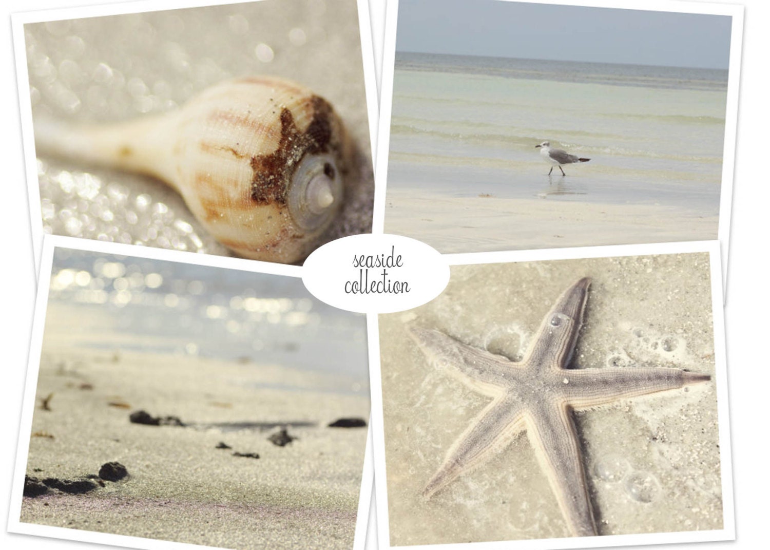Beach Photography - Seaside Collection - Nautical Pastel Beach Photography Set of Four 8x8 Square Photos - Ocean Shell Wall Art Discount Set