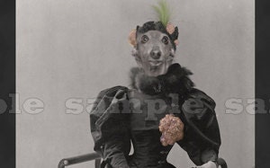 Greyhound Art Print - Anthropomorphic Altered Victorian Photo  - 5 x 7 - Lavinia Davenport