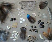 Start Your Own Curiosity Collection Kit