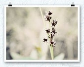 Flower photography, nursery wall decor