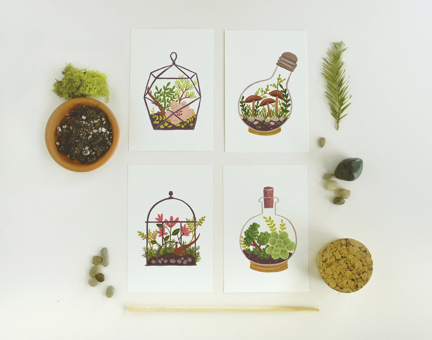 Terrarium Postcard SET 8pcs