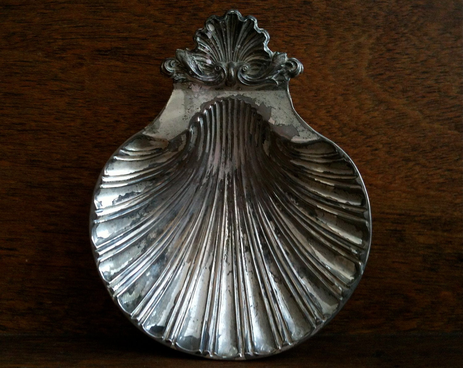 Vintage English Sea Shell Dish