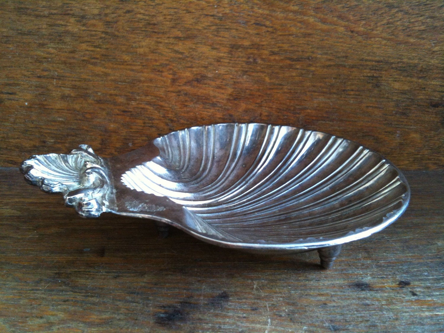 Vintage English Sea Shell Dish