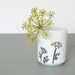 Pencil Cup with fennel flower - Bone china handpainted mug 10 fl.oz - Umbel flowers vase