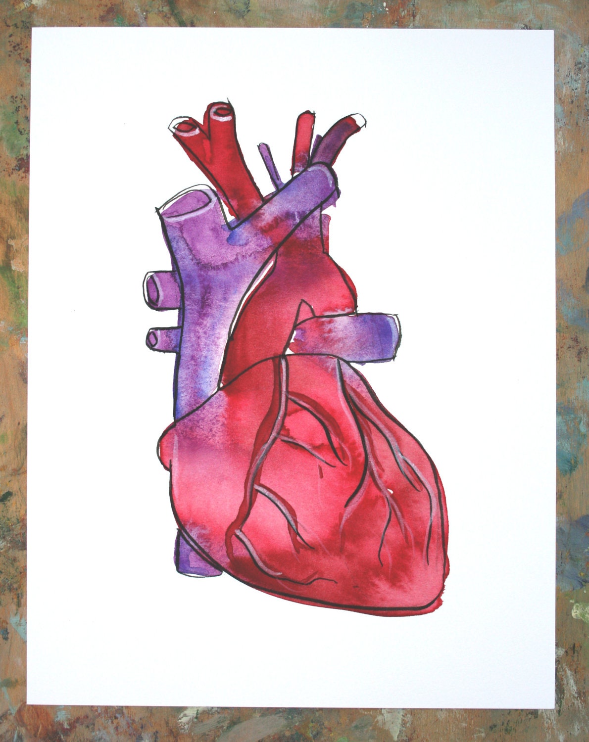 have a heart-signed archival anatomical heart illustration fine art print