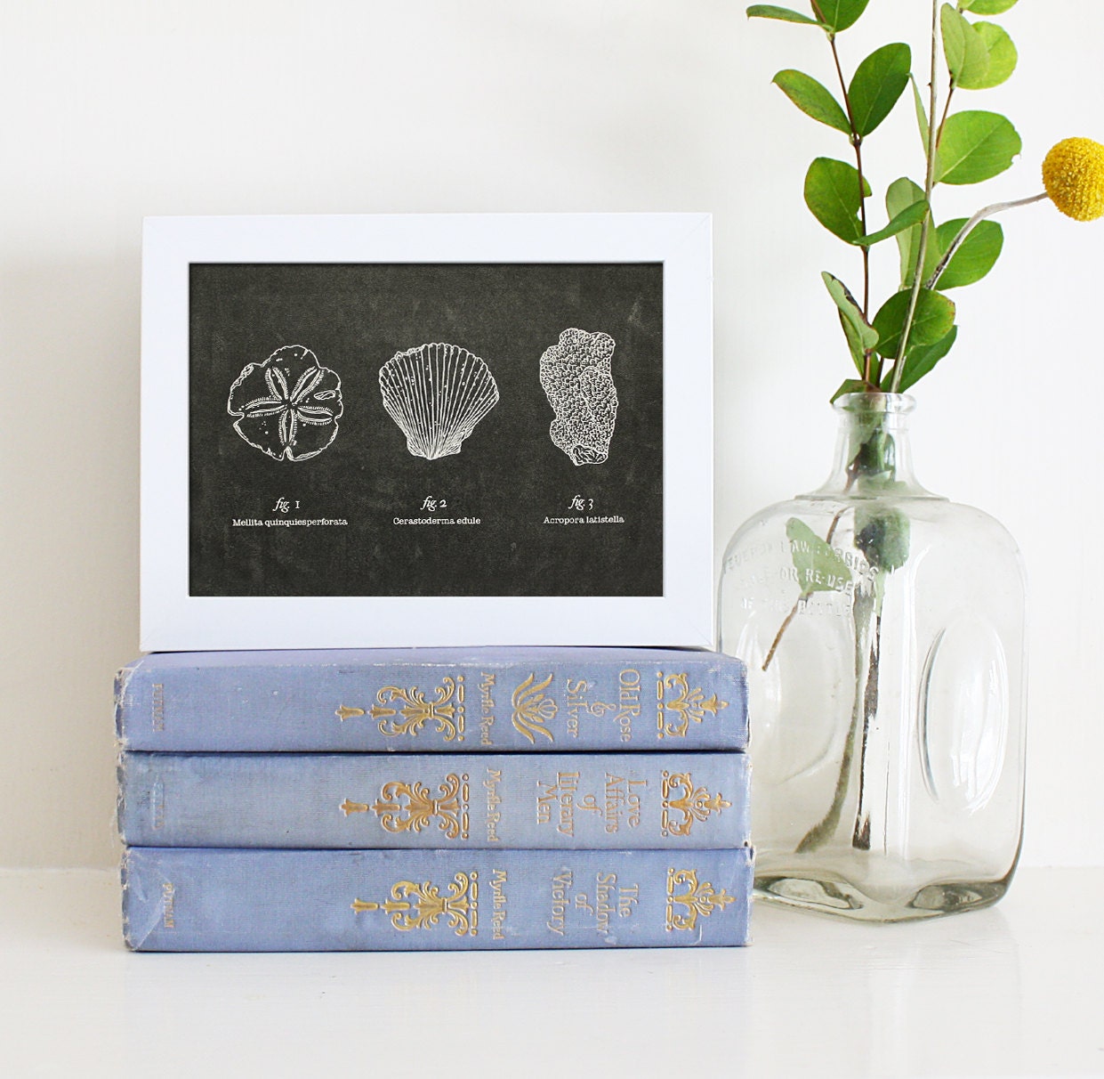 Artifact Series: The Beachcomber 5x7 Print