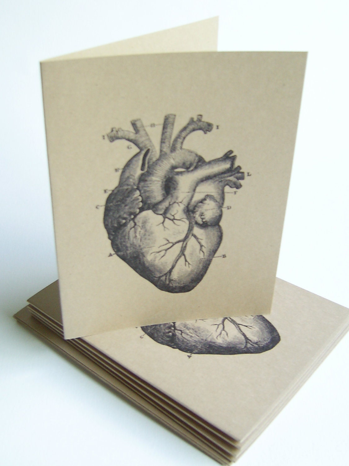 My Beating (Anatomical) Heart Blank Card Set with Envelopes, Set of 5