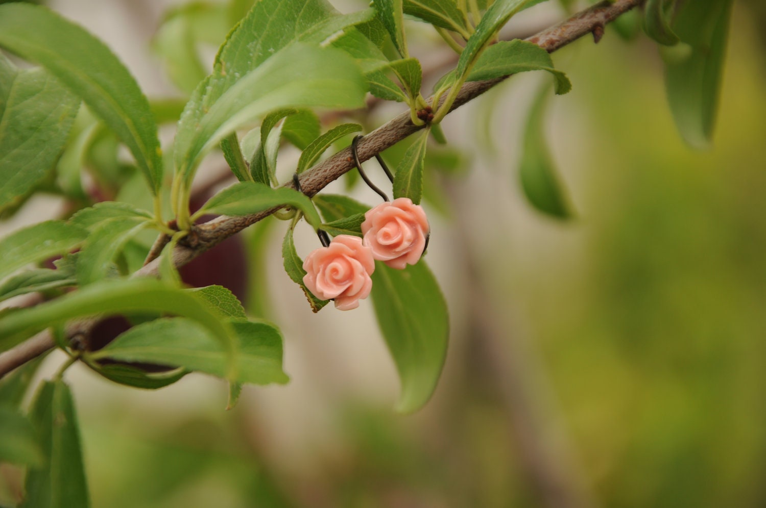 coral flower earrings