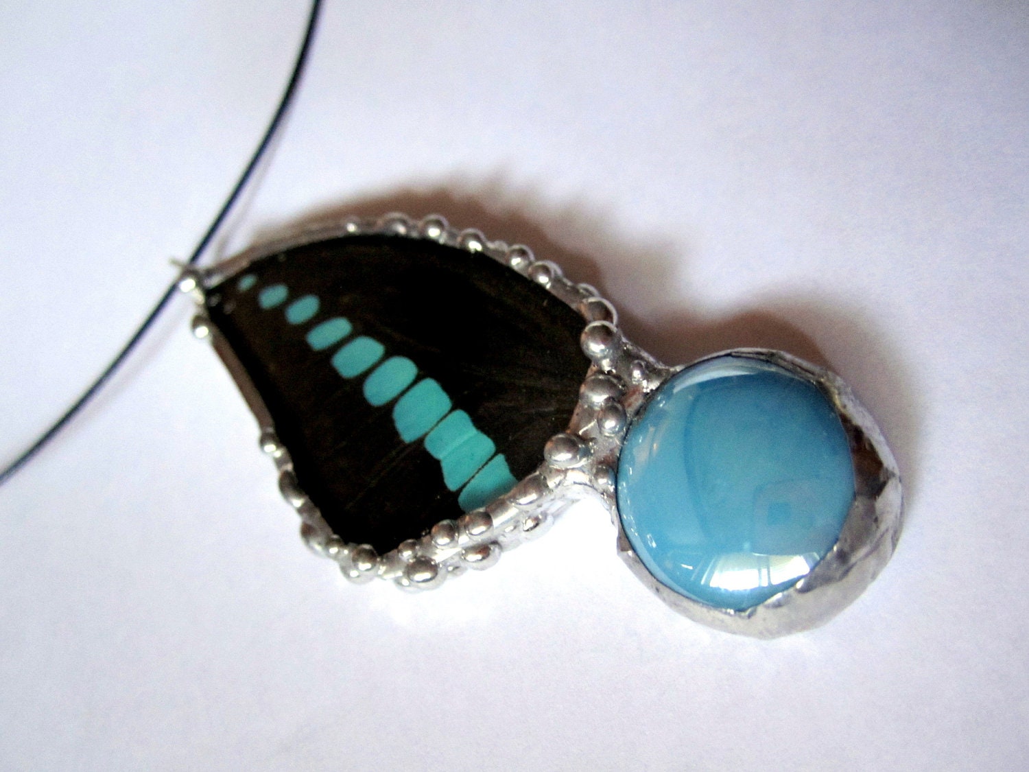 Real Butterfly Jewelry - Pendant - Graphium milon anthedon