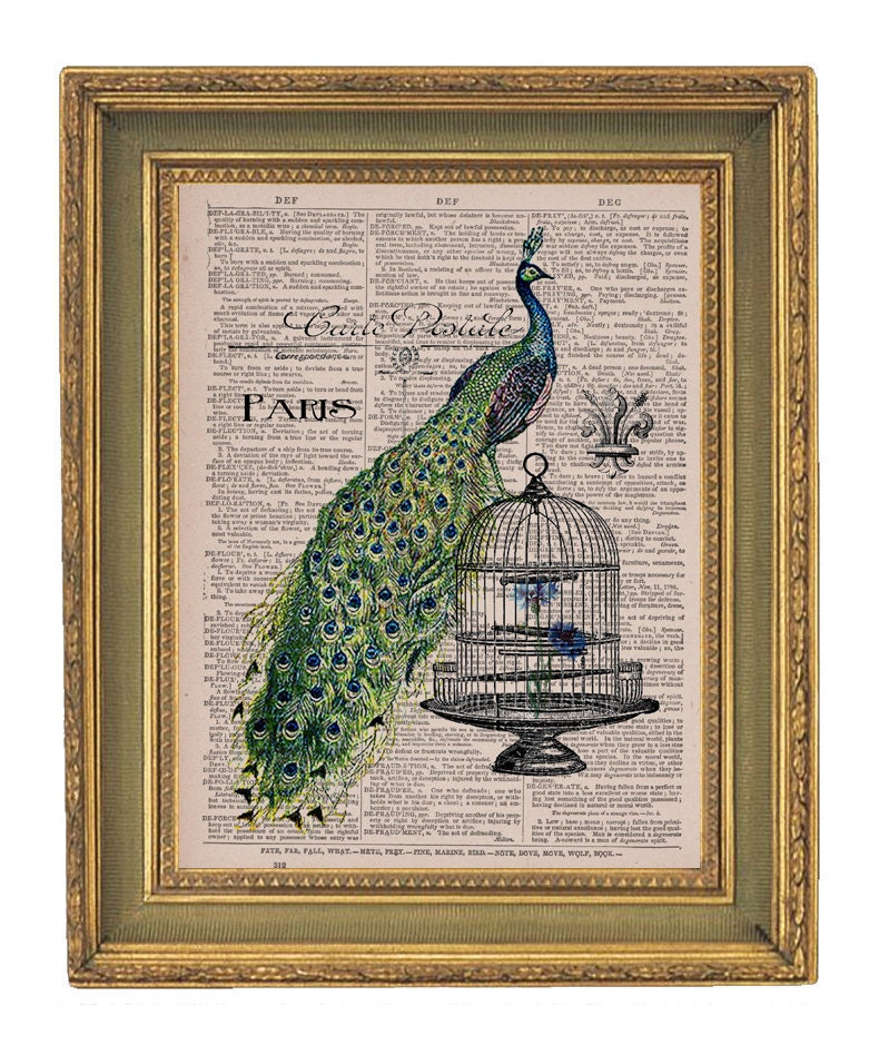 Paris Peacock Print - Vintage  Book  Print Page Art Print -  8x10