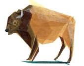 jasper buffalo - print