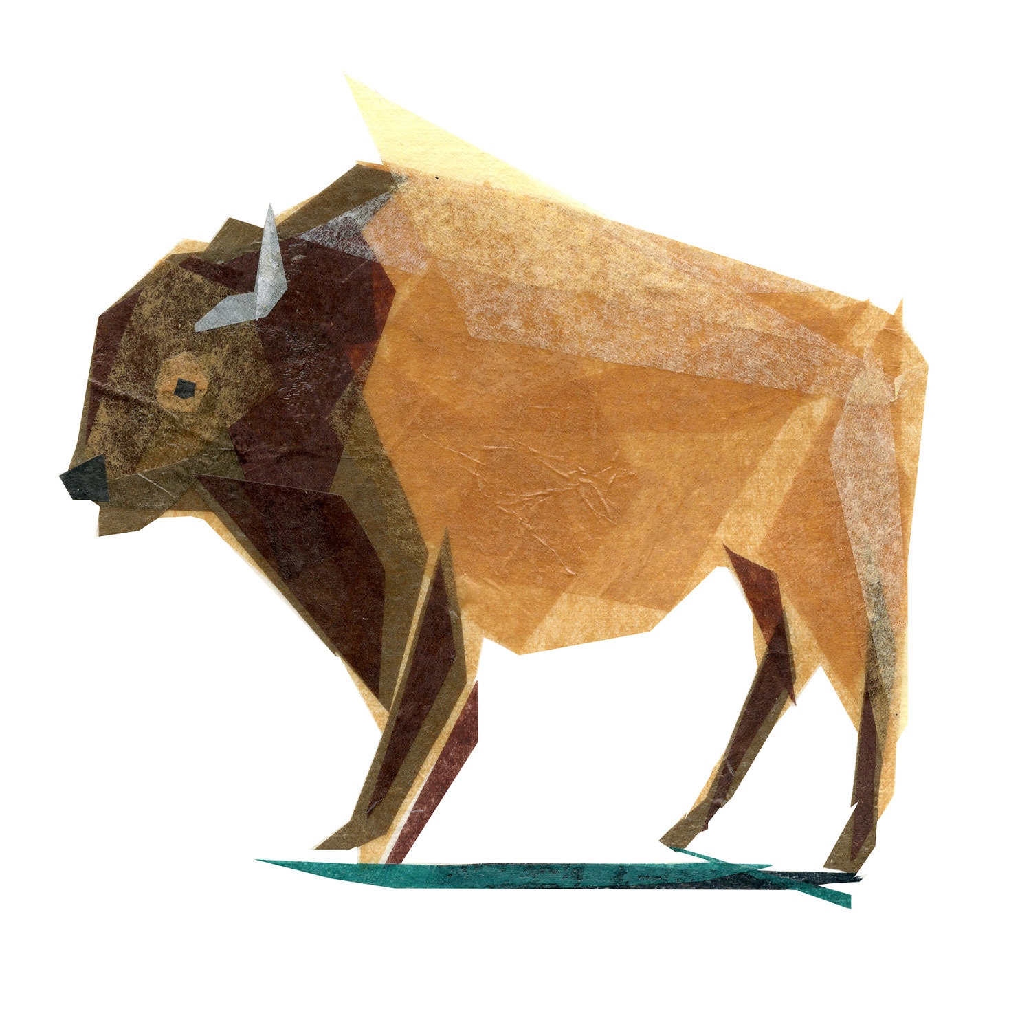 jasper buffalo - print