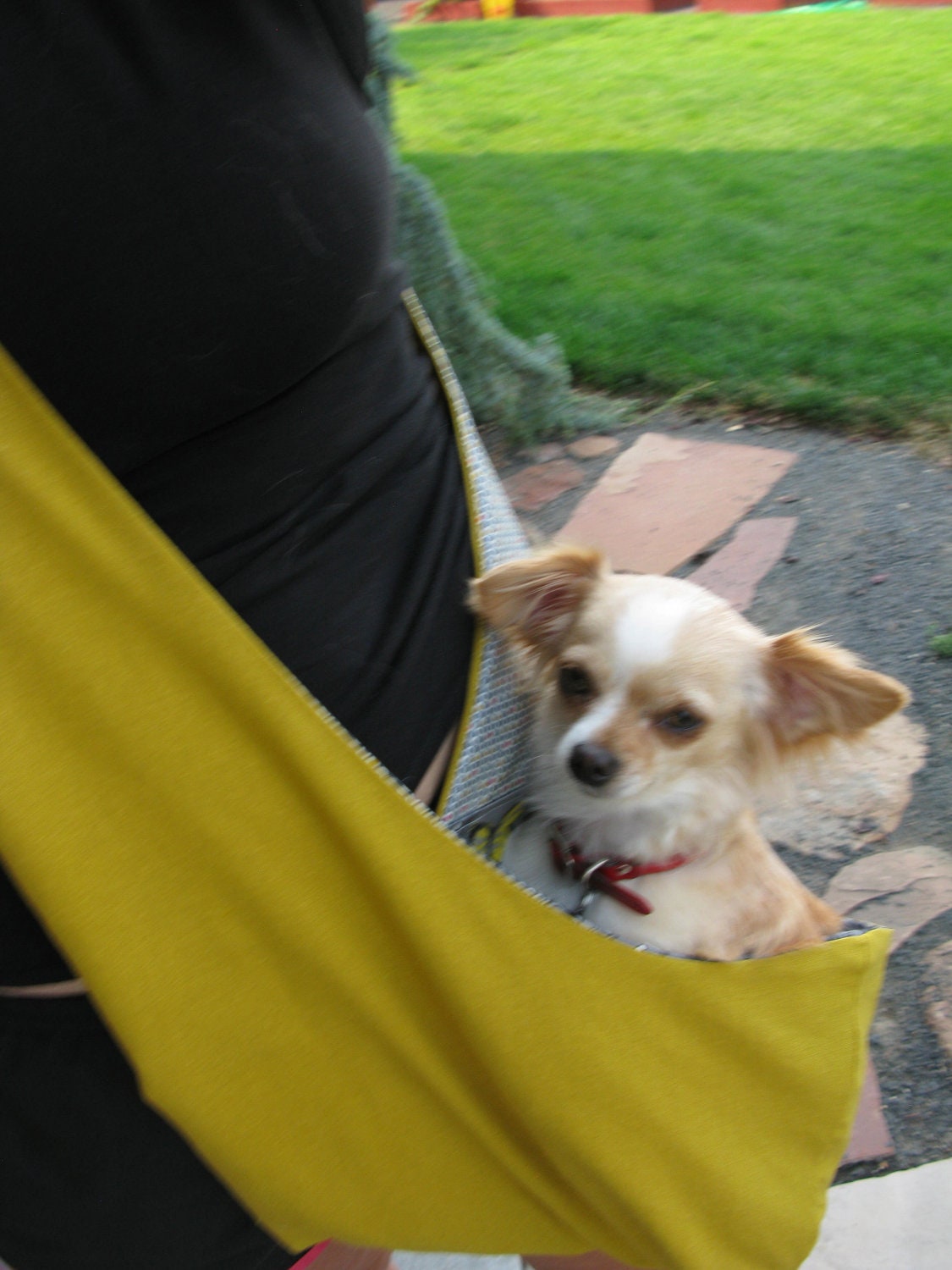 Pet Sling Small-Mustard Linen