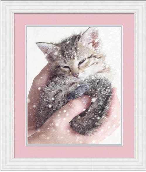 Kitten Photography, Nursery Decor, Kitten in the Snow, Baby Animal Art, Grey White Wall Art, Cute, Snowing 8x10 Print