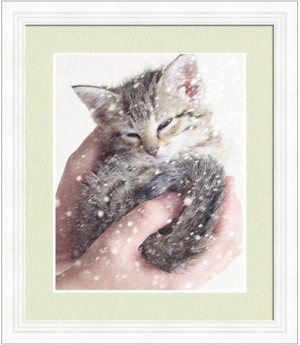 Kitten Photography, Nursery Decor, Kitten in the Snow, Baby Animal Art, Grey White Wall Art, Cute, Snowing 8x10 Print