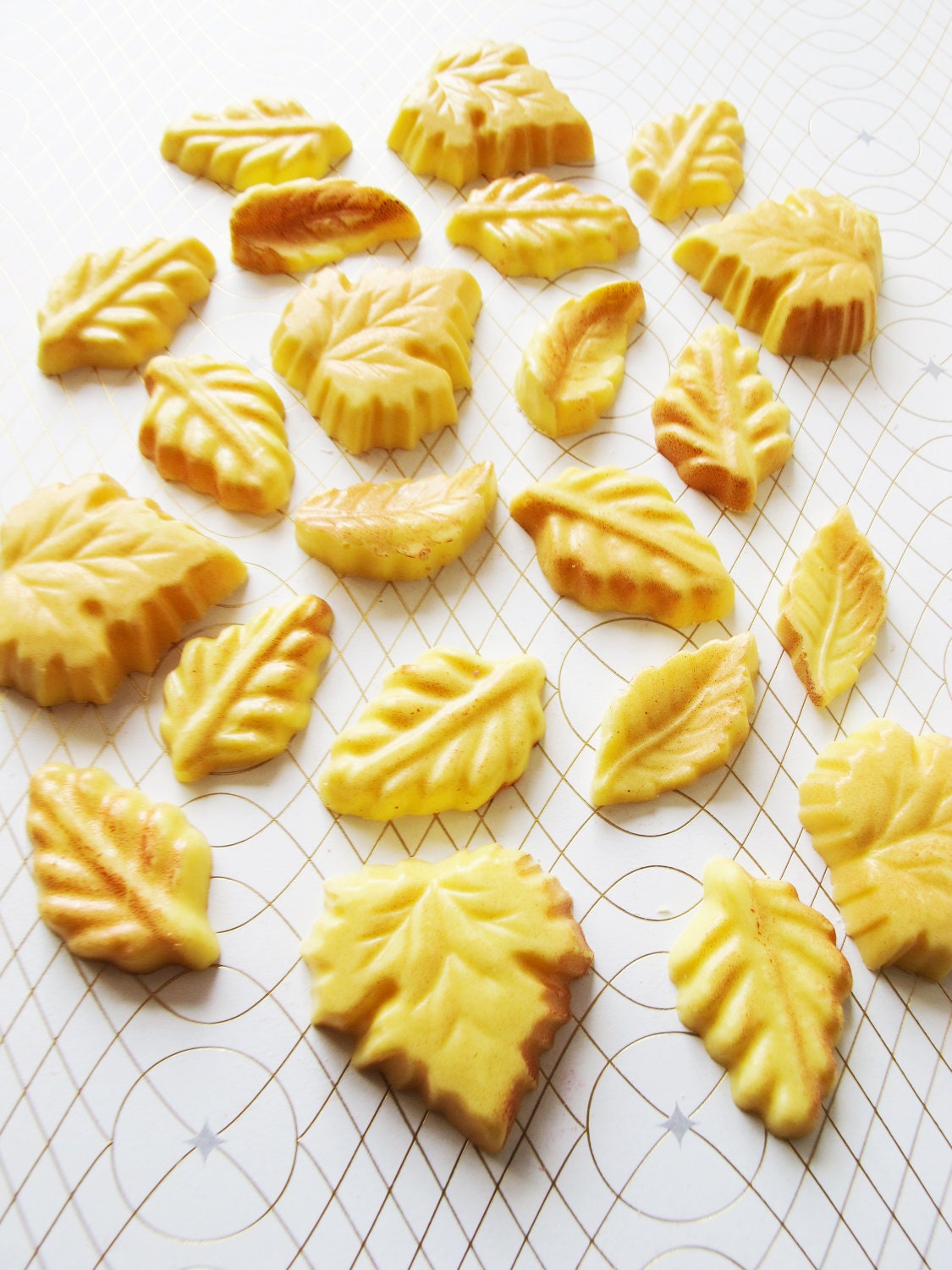 12 Chocolate Leaves: Golden Autumn Il_170x135