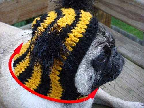 Dog Hat - My Baby Bear Hat/ Made To Order