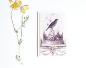 note cards with vintage bird graphic, mini notes, ecru, bird in cage, closhe  - set of 6