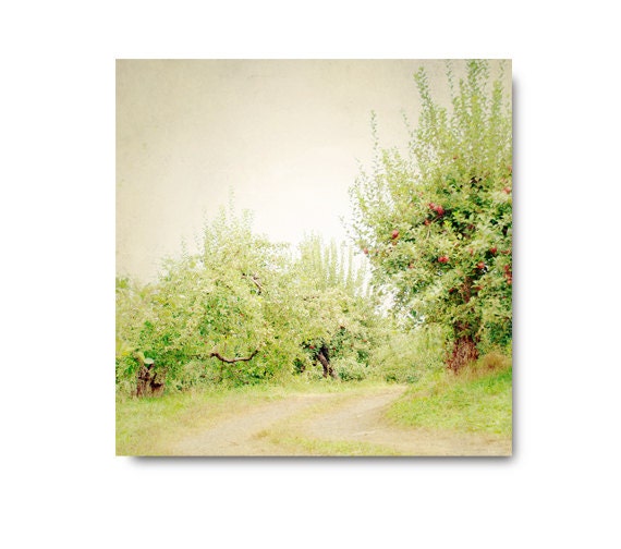 Green Apple Tree Landscape photo, red, autumn, fall, farm, apple orchard, dirt road, nature, home decor, wall decor, nature print
