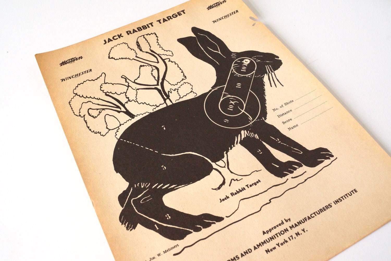 Vintage Winchester Jack Rabbit Shooting Target (12 x 9 inches) - Collectible, Home Decor, Paper Projects, and more