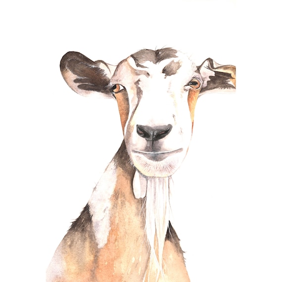Goat painting  - print of watercolor painting A4 print