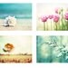 Four Seasons Photography Set - 4 8x10 Nature Photographs - winter spring - summer fall autumn - 4 seasons art prints - aqua blue mint pink