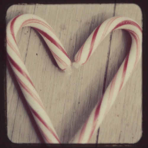Peppermint candy cane photograph- heart, love, holiday, chirstmas, ttv, whimscial, red, white, hipster, fine art photography, 8x8 print