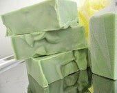 Eucalyptus Peppermint Scented Bar Soap Hand Soap Natural Pumice Soap