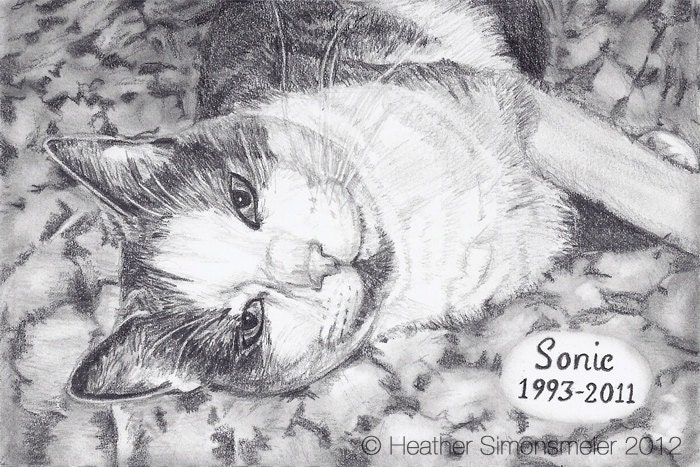 4 x 6 inch Custom Hand-Drawn Graphite Drawing From Your Photo (One Subject)