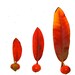 FRONT PAGE Nature Photography:  Red, red orange, dark orange Autumn, Fall, rose hips, rhododendron leaves, 'Fall Exclaimed'.