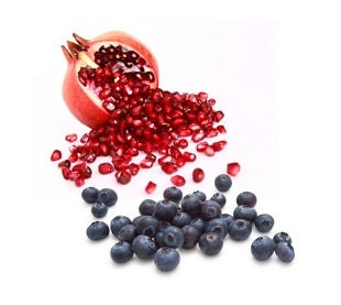 Blueberry Pomegranate - Handmade Lip Balm .15oz