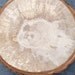 Spalted Oak Wood Slices for crafts and projects. 5 x 4 inch unfinished blanks.