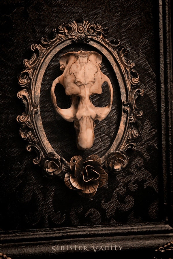 Gothic Taxidermy Skull Victorian Ornate Muskrat Ros Black Damask Wall Art Plaque Hanging Frame - SinisterVanity