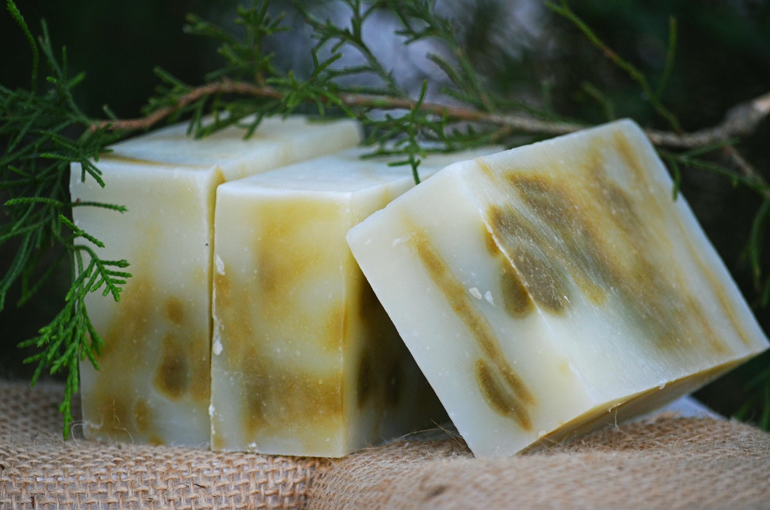 Rosemary Cedarwood Shea Butter Soap, Handmade, All Natural, Cold Process Soap