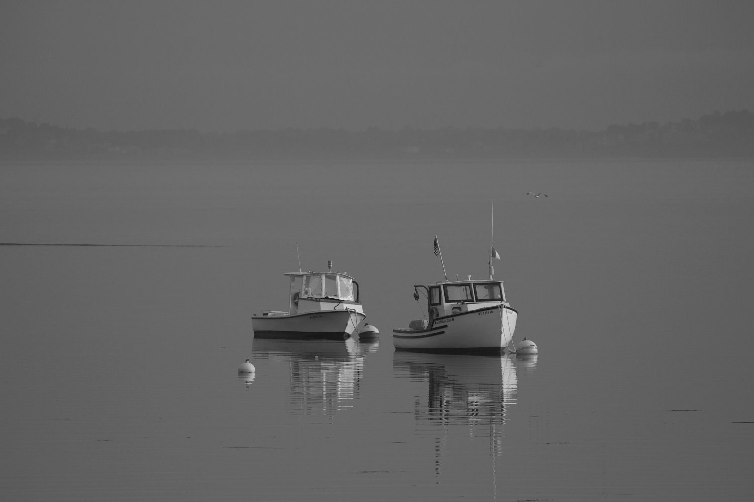 Two Boats