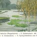 Extinct Plants Antique Color Lithograph Carboniferous Ferns