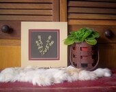 Real Pressed Herbs - Thyme - Botanical Art - Organic - Herb Garden