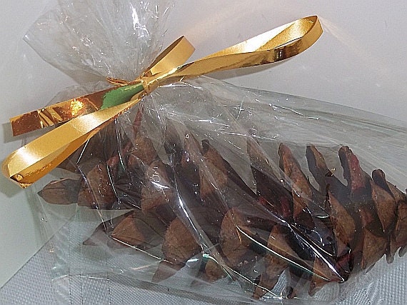 Pine cone firestarter - favor, stocking stuffer