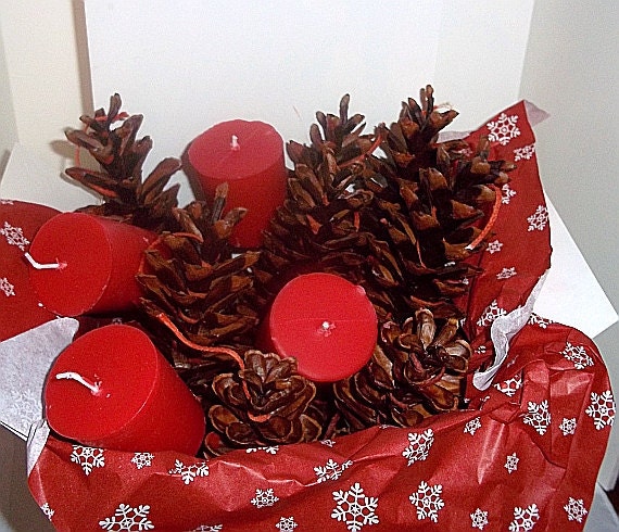 Pine cone firestarters and votive gift box , box of 15 pine cones and 4 votives