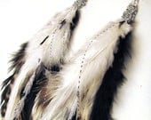 Like a Black and White Movie Feather Earrings - Classic Long Black and White Striped Feathers - LittleGemGirl