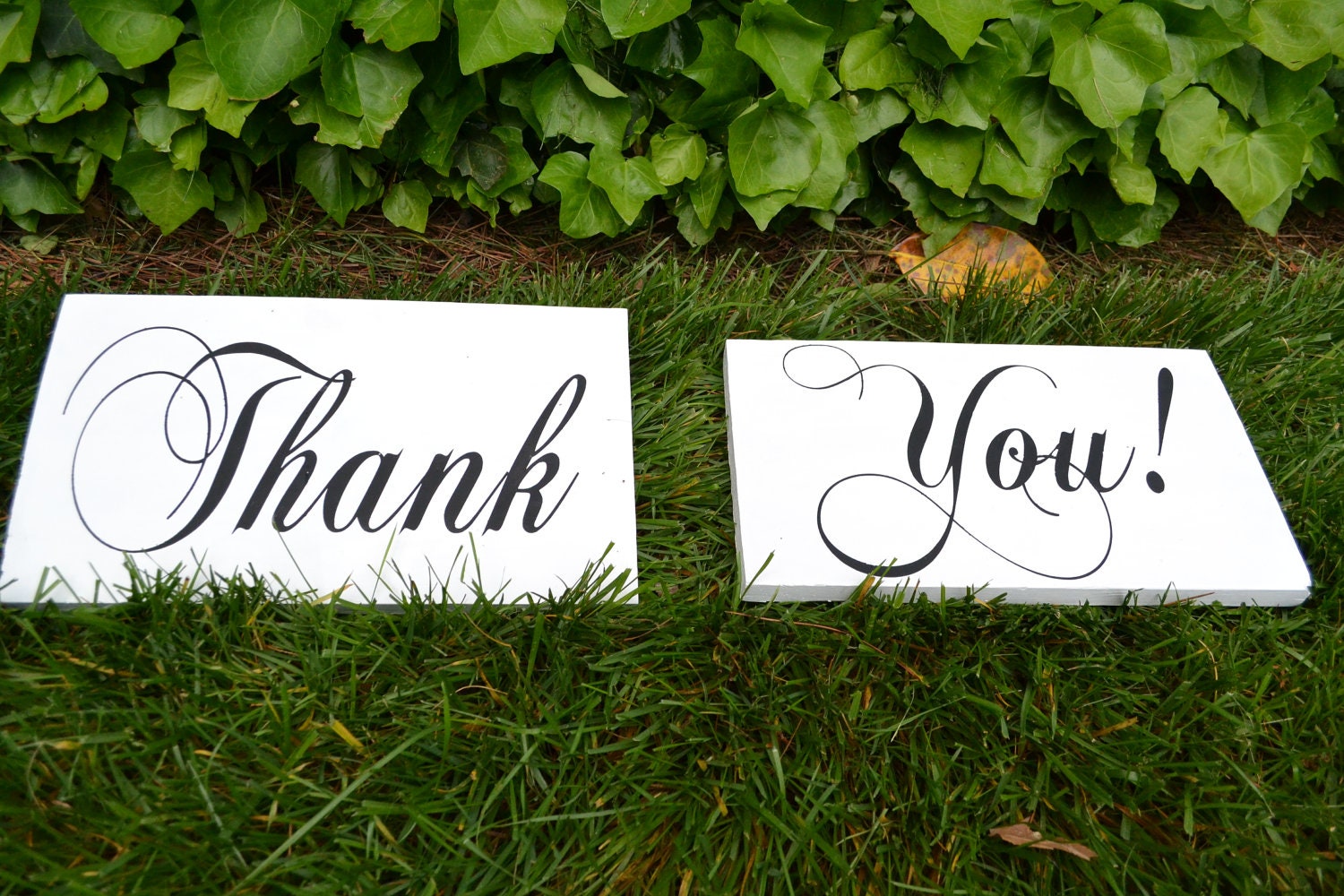Double Sided Thank You Signs for Photos